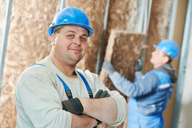 Best Insulation Maintenance and Repair in Monticello, AR